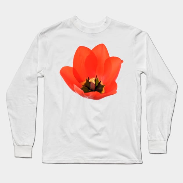 Red tulip Long Sleeve T-Shirt by chrisburrows